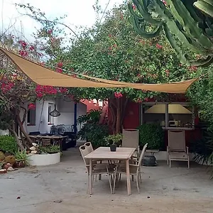 book here